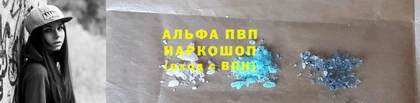 сатива Болхов