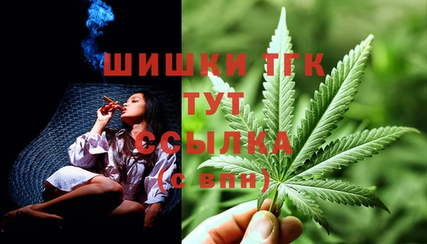 дмт Краснослободск