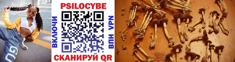 Псилоцибиновые грибы Psilocybe  мега онион  Кондрово 